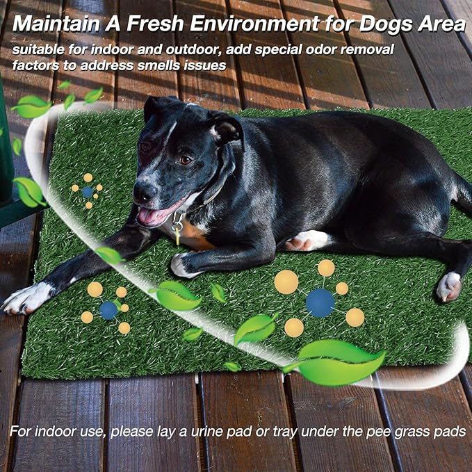 Replacement Dog Grass Pee Pad for Potty Training - 24"x24"/2 Pack, Medium Artificial Grass Patch for Potty Tray, Reusable & High Drainage