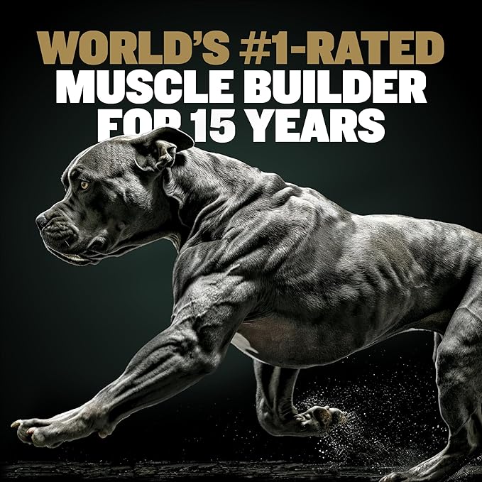Bully Max Protein Powder for Dogs | Supports Muscle Building & Muscle Gain | #1-Rated Performance Brand Since 2009 | for Dogs of all Ages | 368 Grams