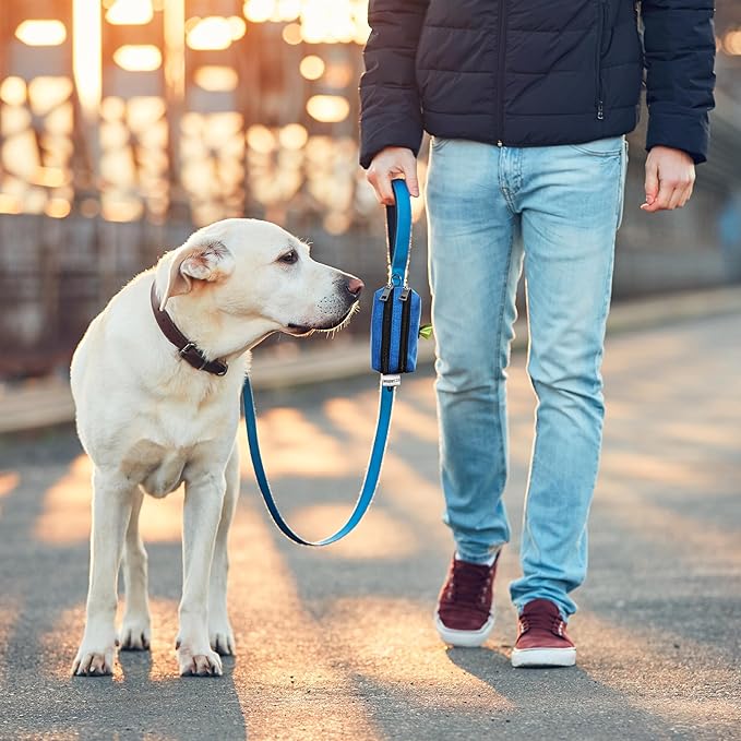 Dog Poop Bag Dispenser and Treat Holder for All Leashes. 2 Waterproof Pouches for Pet Waste Bags. Durable Design. Carabiner and Velcro Attachments. 1 Free Roll. Leashrr 2.0 (Blue)