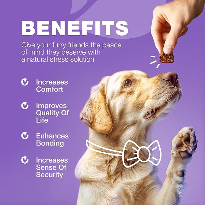 Dog Multivitamin Chews 15 in 1 - Dog Vitamins - US Formulated Joint Supplements for Dogs - Dog Multi Vitamins with Glucosamine & Chondroitin - Dog Treats for Hip & Joint, Itchy Skin & Coat