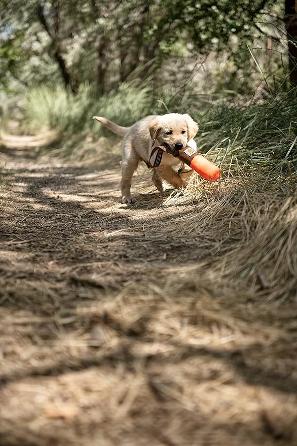 Carhartt Pet Toys, Training Fetch and Chew