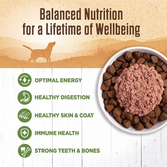 Wellness 95% Lamb Natural Wet Grain Free Canned Dog Food, 13.2-Ounce Can (Pack of 12)