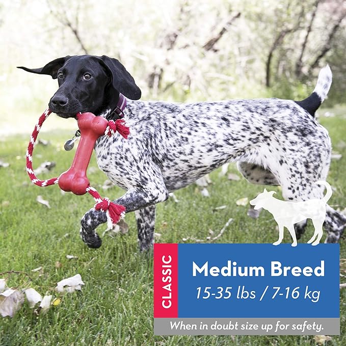 KONG Goodie Bone with Rope - Classic Durable Natural Rubber Dog Bone, Supports Mental Engagement - Treat Dispensing - Red - for Medium Dogs