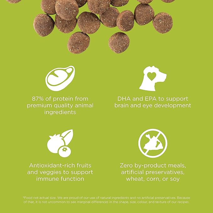 GO! SOLUTIONS Carnivore Grain Free Dog Food for Puppies, 12 lb – Chicken, Turkey + Duck Recipe – Protein Rich Puppy Food – Complete + Balanced Nutrition for Puppies