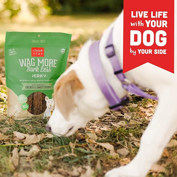 Cloud Star Wag More Bark Less Chicken & Sweet Potato Recipe Grain-Free Jerky Dog Treats 10 Ounce Bag, Model: 693804191113