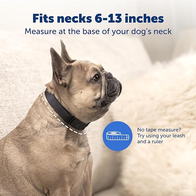 PetSafe NanoBark Collar - World's Smallest Bark Collar for Small Dogs, 10 Levels of Static Stimulation, Waterproof and Rechargeable Anti-Bark Training, Comfortable and Low-Profile Design