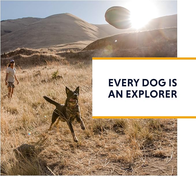 Ruffwear, Switchbak Dog Harness, Pack & Harness Hybrid for Day Trips & Everyday Use, Blue Moon, X-Small