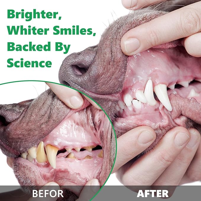 4.23 OZ Dog Teeth Cleaning Powder, Pet Dental Powder for Teeth Cleansing, Bad Breath Freshening, Plaque & Tartar Removal, Dental Care, 120 G