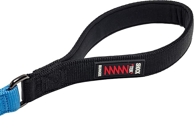 Franklin Pet Supply - Nylon Dog Leash - Comfort - Neoprene Handles- Shok-Tek Bungee System - 4 Foot - Dog Training - Walking