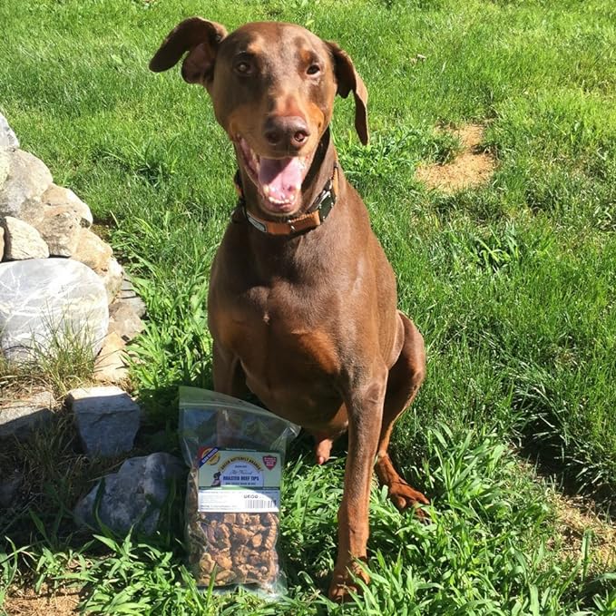 Beef Dog Treats – Made in USA Only – All Natural, Meaty Beef Tips – Premium Slow Roasted American Beef – Grass Fed, Farm Raised – Crunchy, Grain Free Training Treat, 8 Ounces