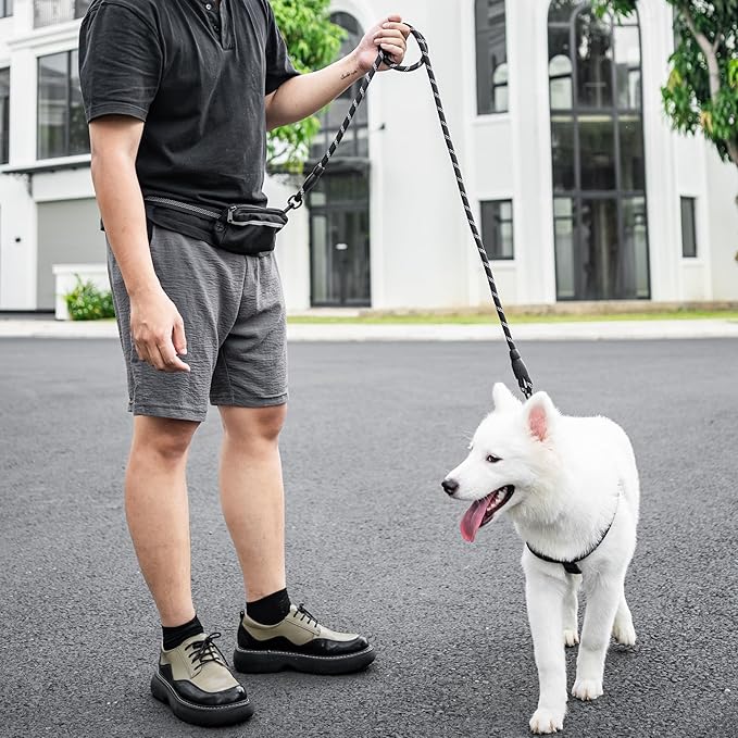 5ft Hands Free Dog Leash, Waist Dog Leash, Heavy Duty Belt Dog Leashes with Zipper Pouch, and Highly Reflective Threads for Walking, Jogging, and Running with Your Dog