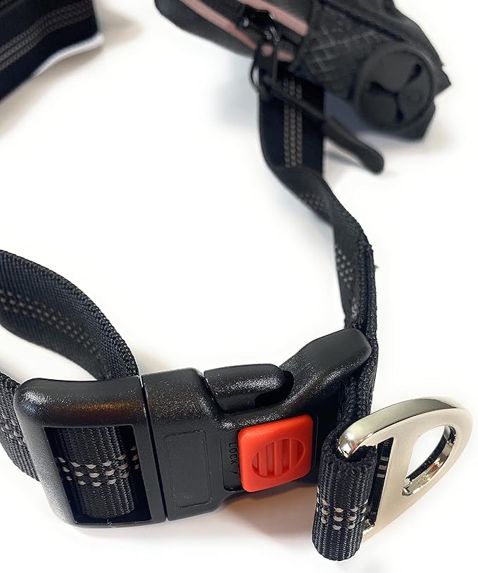 Hands Free Dog Leash with Locking Carabiner | Waterproof Running Dog Leash with Zipper Pouch, Dual Padded Handles and Durable Bungee for Active Dogs and Lifestyles