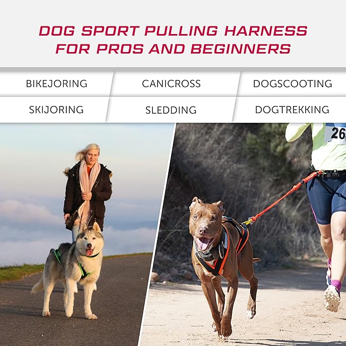 Dog Weight Pulling Harness, XBack for Canicross, Dog Sport, Bike Joring, Ski Joring, Sled Harness, Dog mushing, Dog Running Harness, Black Neonorange