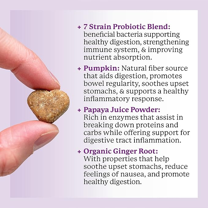 Dr. Harvey's Digestive Probiotic Soft Chews for Dogs, 7 Probiotics for Gut Health, Diarrhea and Bowel Support, Peanut Butter Flavor (90 Chews)