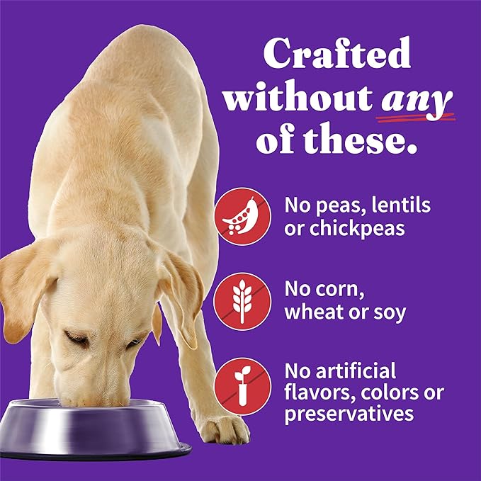 Halo Elevate Wet Dog Food, Healthy Grains, Smoky BBQ Braised Duck & Beef Stew with White Potatoes, Carrots & Brown Rice, 12.7oz (Pack of 6)