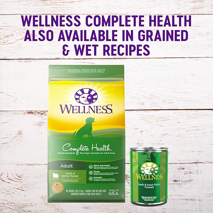 Wellness Complete Health Grain-Free Dry Dog Food, Natural Ingredients, Made in USA with Real Meat, For All Lifestages (Lamb, 24-Pound Bag)