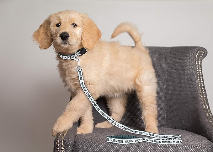 Pets First Collegiate Pet Accessories, Dog Leash, Michigan State Spartans, Large