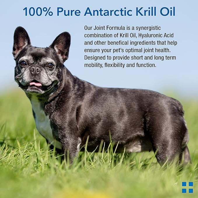 Krillex Joint Formula & Omega 3 Krill Oil for Dogs & Cats - Glucosamine for Dogs - Chondroitin, MSM, & Hyaluronic Acid for Joint Care - Cheese Flavor Chews - 60 ct