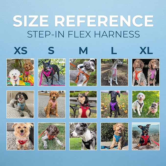 Best Pet Supplies Voyager Adjustable Dog Harness with Reflective Stripes for Walking, Jogging, Heavy-Duty Full Body No Pull Vest with Leash D-Ring, Breathable All-Weather - Harness (Purple), L