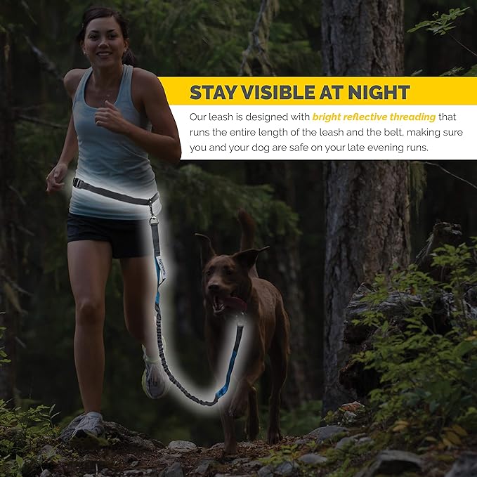 Hands Free Dog Leash, A Dog Running Leash for Dogs That Makes A Great Waist Leash for Dog Walking, Double Handle Bungee Dog Leash with Reflective Stitching and Adjustable Dog Walking Belt