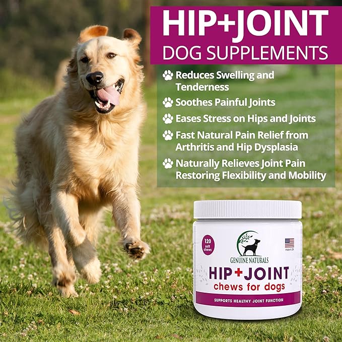 Hip and Joint Supplement for Dogs - Glucosamine Chondroitin, MSM, Organic Turmeric Soft Chews, Dog Vitamins, Supports Healthy Joint Function and Helps with Pain Relief,120 Count