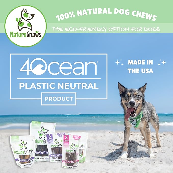 Nature Gnaws USA Beef Tendons for Dogs – Single Ingredient Natural Dental Chews - Long Lasting and Rawhide Free Dog Treats, 8.00 Ounce (Pack of 1)