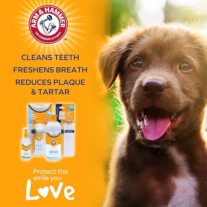 ARM & HAMMER Fresh Spectrum Coconut Mint Dog Dental Spray, 118ml, Best Dental Care for Dogs, Removes Plaque & Tartar, Freshens Breath, Gum & Teeth Cleaning, No Brushing, Easy to Use Pet Oral Hygiene