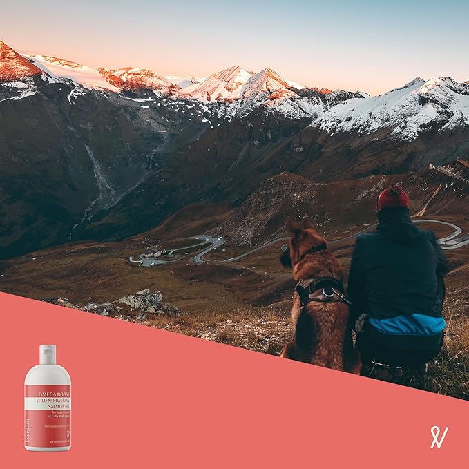 2024 Everpath Upgraded Salmon Oil Omega 3 Boost for Dogs and Cats - 16 Fluid Ounces/473mls | USA Made | Supports Coat, Skin, and Immune System | Norwegian Salmon Oil for Pets | Natural Solution