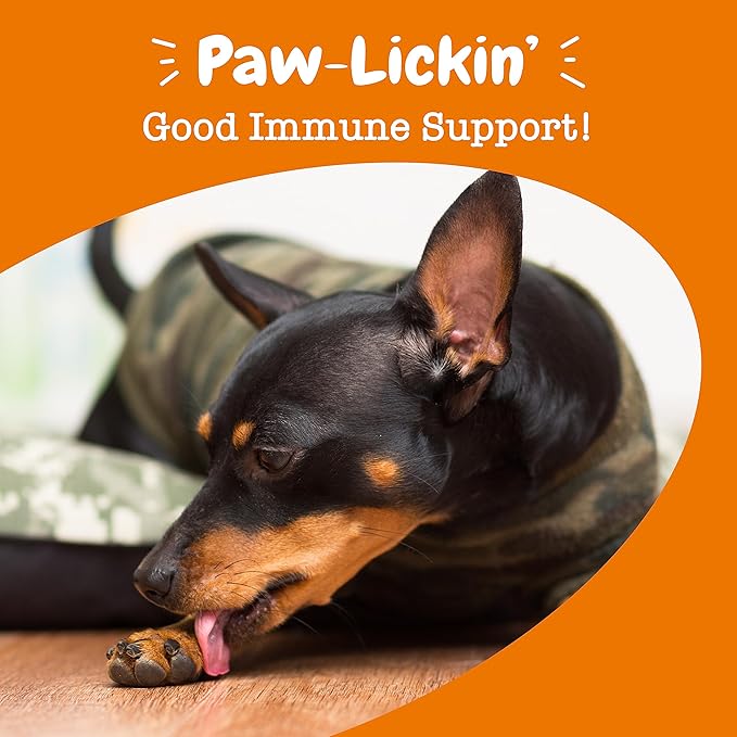 Zesty Paws Allergy & Immune Flavor Infusions for Dogs - with Omega 3 Salmon Oil for Sensitive Skin, EpiCor Pets, Colostrum & Quercetin - Supports Seasonal Allergies - Chicken Flavor - 16 fl oz