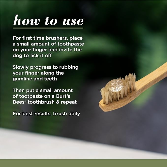 Burt's Bees for Pets Care+ Oral Care Kit, Gum Soothing Dog Toothpaste with Hemp Seed Oil and Bamboo Dog Toothbrush - Dog Tooth Brushing Kit for Dog Dental Care from Burt's Bees