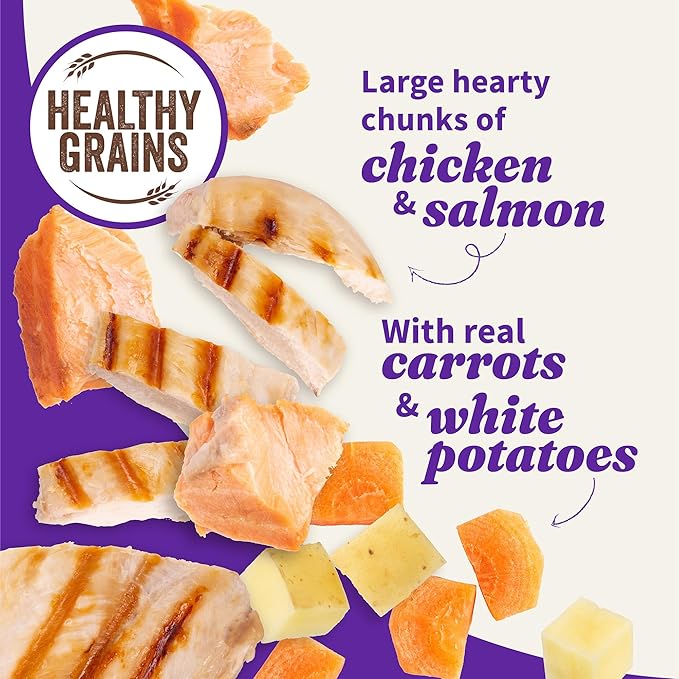 Halo Elevate Wet Dog Food, Kettle Cooked Chunky Healthy Grains Chicken & Salmon Stew with Carrots, White Potatoes and Brown Rice, 12.7oz (Pack of 6)