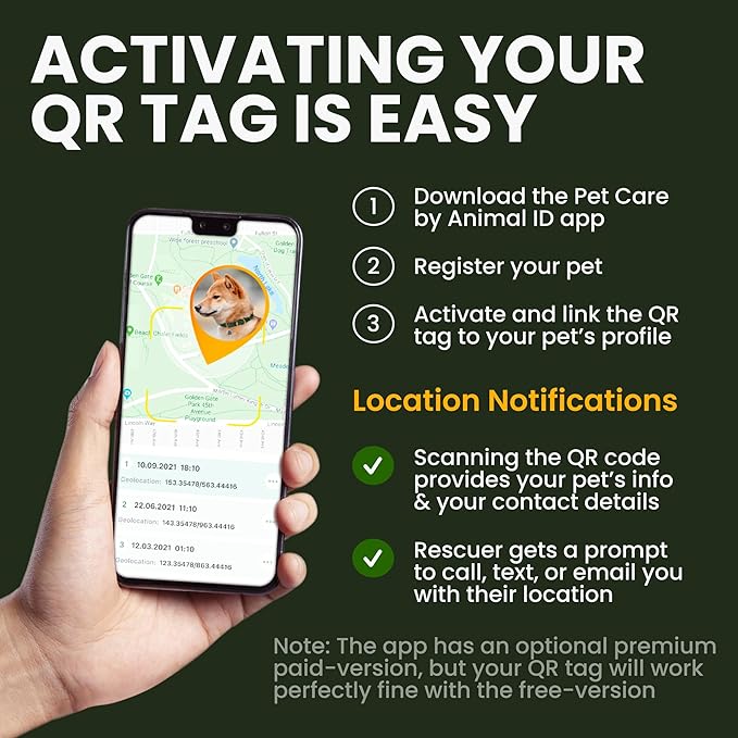 BRONZEDOG Leather Dog Collar with QR ID Tag Basic Pet Collars for Small Mini Dogs Cats Puppies (7-9 Inch (Pack of 1), Black & Gold Buckle)