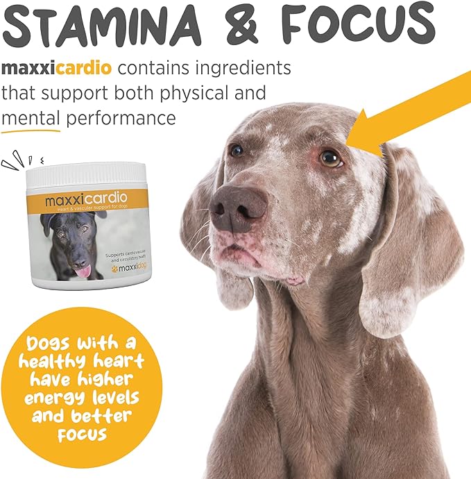 maxxicardio Heart and Cardiovascular Supplement for Dogs – Powder 5.3 oz