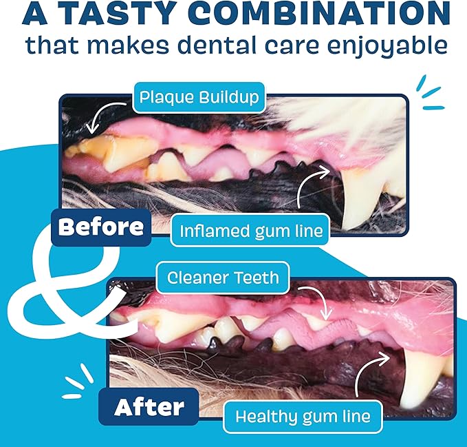 Bark Bright Durable Dental Chews Kit - Dog Tooth Brushing Treatment with Teeth Cleaning Chew Sticks & Toothpaste - Plaque & Tartar Remover for Cleaner Teeth & Fresh Breath - Medium Breeds - 15 Chews