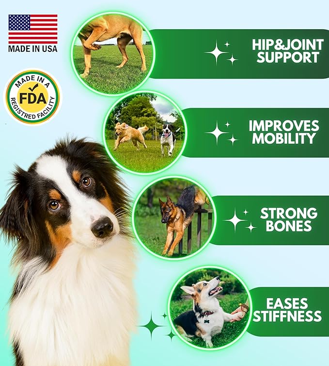 Hip and Joint Chews for Dogs - Glucosamine for Dogs - Dog Joint Pain Relief - Chondroitin, MSM, Turmeric, Hemp Oil Treats - Advanced Support Dog Joint Supplement Health - Mobility Bites