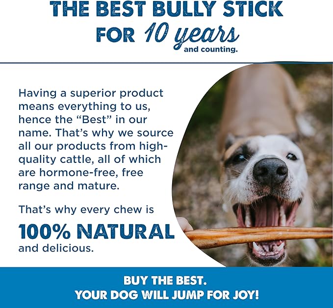 Best Bully Sticks All Natural 12 Inch Thick Bully Sticks for Large Dogs - 100% Free-Range Grass-Fed Beef - Single-Ingredient Grain & Rawhide Free Dog Chews - 10 Pack