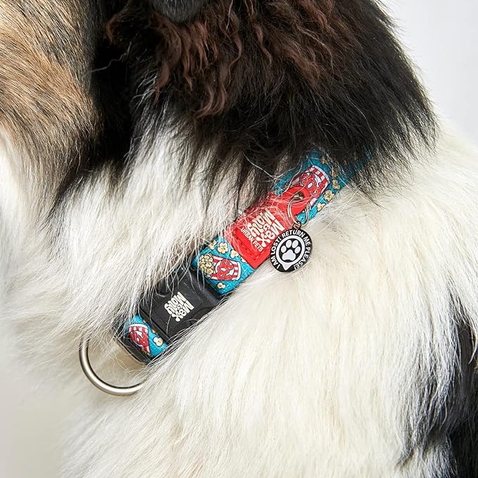 Gotcha Smart Pet ID Tag for Pets, Easily Attaches to Dog & Cat Collars and Harnesses, Contains Personalized Pet Contact Information for Quick Identification by Max & Molly