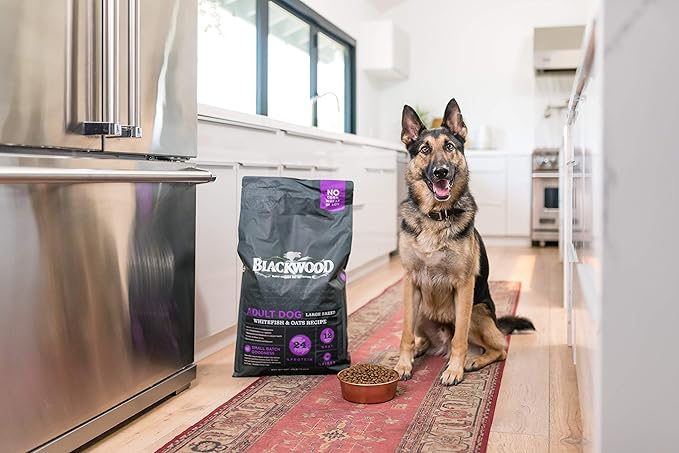 Blackwood Pet Food 22403 Adult Dog, Large Breed, Whitefish Meal & Oatmeal Recipe, 30Lb.