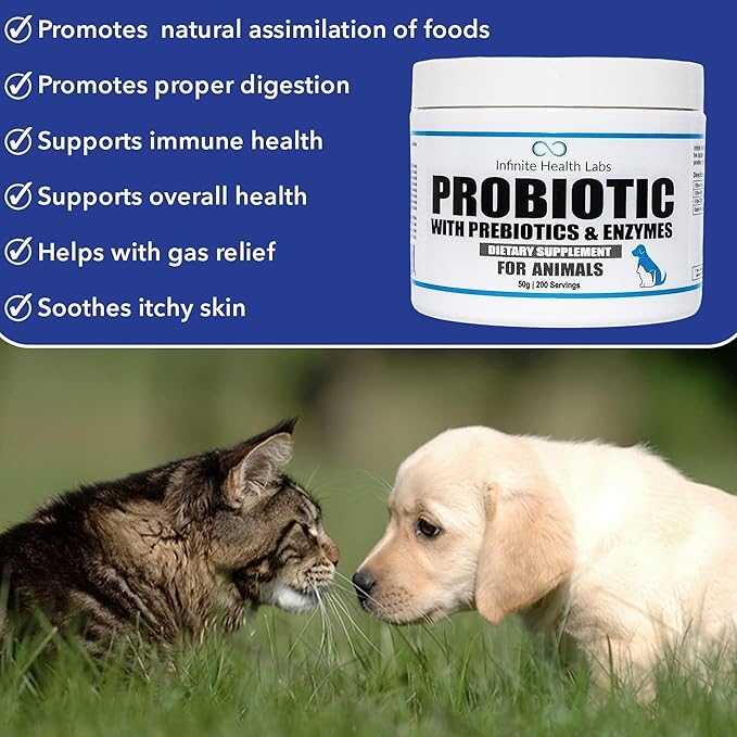 Probiotics for Dogs and Cats - Vet Formulated Pet Prebiotic & Enzyme Powder for Digestive, Gut & Immune Health - 200 Servings (50 g)