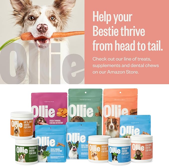 Ollie Beef and Sweet Potato Jerky Recipe Dog Treats - Dog Jerky Treats All Natural - Healthy Dog Treats - Beef Jerky for Dogs - Real Meat Dog Treats 5 Oz.