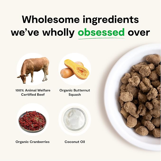 Open Farm Freeze Dried Raw Dog Food, Humanely Raised Meat Recipe with Non-GMO Superfoods and No Artificial Flavors or Preservatives (22 Ounce (Pack of 1), Grass Fed Beef Recipe)