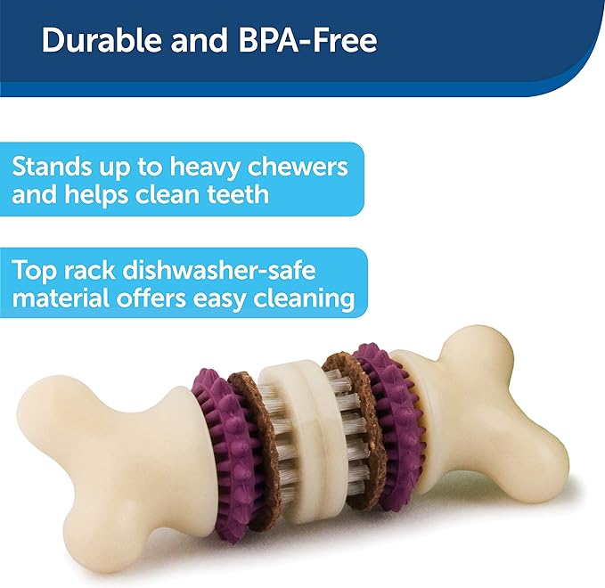 PetSafe Treat Rings - 16 Rings - Size B - Original & Busy Buddy Bristle Bone - Treat-Holding Toy for Dogs - Purple, Large