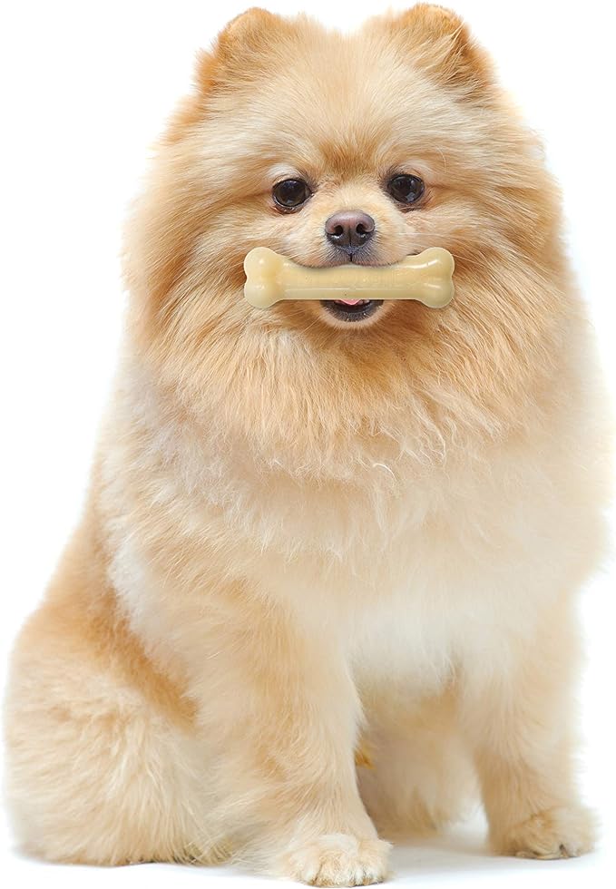 Nylabone Power Chew Flavored Durable Chew Toy for Dogs Original X-Small/Petite (1 Count)