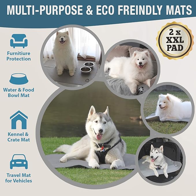 Puppy Pads by Trendy Den Creations - Dog Pee Pads - Puppy Essentials or Pet Supplies Puppy Pads Pet Training Pads - 36"X48" 2 Pack Anti-Slip Washable Pee Pads for Dogs - Dog Pads Extra Large - Potty