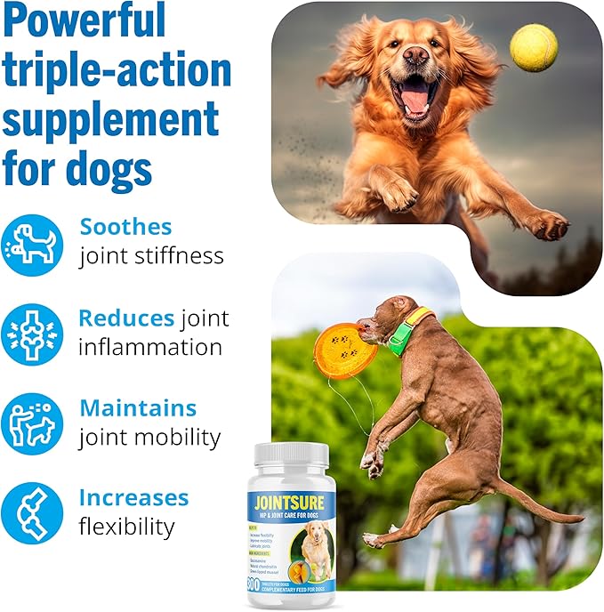 Hip and Joint Supplement for Dogs - Glucosamine for Dogs - Joint Support Supplement for Dogs with Glucosamine, Chondroitin and Green Lipped Mussels - 120 Tablets for All Breeds & Sizes