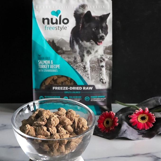 Nulo Freestyle Freeze-Dried Raw, Ultra-Rich Grain-Free Dry Dog Food for All Breeds and Life Stages with BC30 Probiotic for Digestive and Immune Health 5 Ounce (Pack of 1)