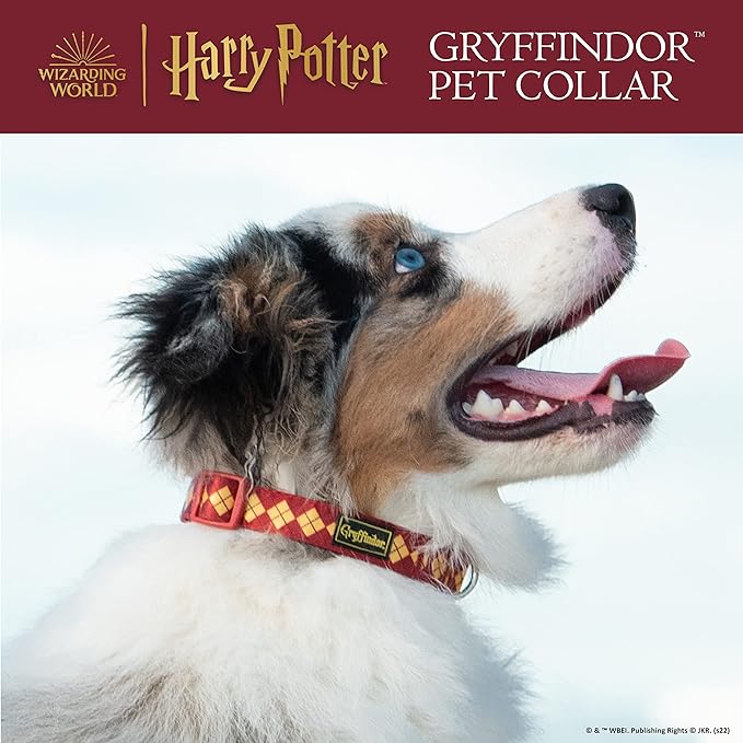 Harry Potter Gryffindor Dog Collar in Size Medium| Medium Dog Collar, Harry Potter Dog Collar | Harry Potter Dog Apparel & Accessories for Hogwarts Houses, Gryffindor