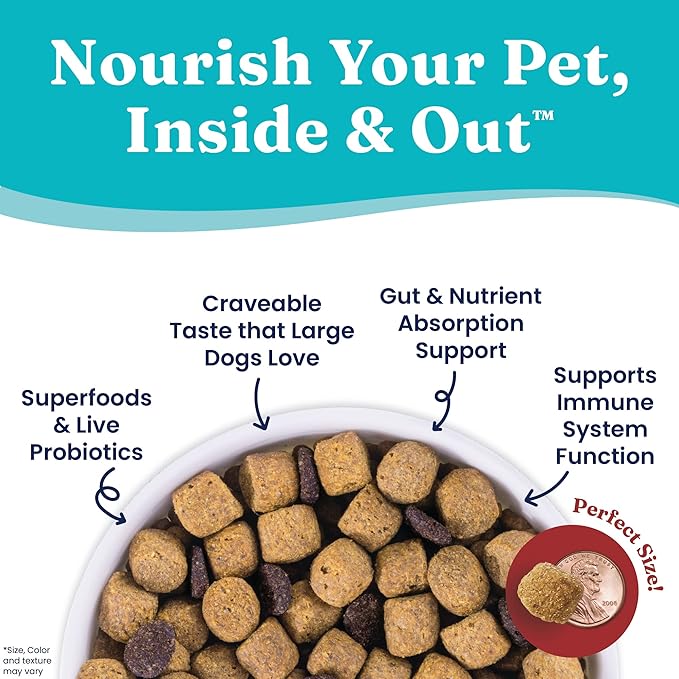 Solid Gold Nutrientboost Wolf King Large Breed Dog Food - Whole Grain Dry Dog Food Kibble Made with Real Bison, Brown Rice & Sweet Potato - Omega 3, Superfood & Digestive Probiotics - 11 LB Bag