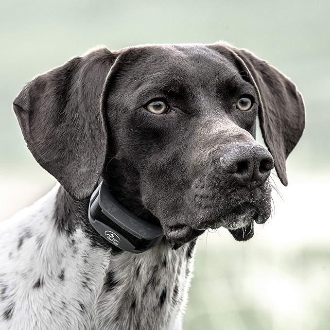 SportDOG Brand SportHunter 825X Remote Trainer with Additional Shock Collar - Train 2 Dogs - 1/2 Mile Range - Dog E-Collar with Static, Vibrate, and Tone