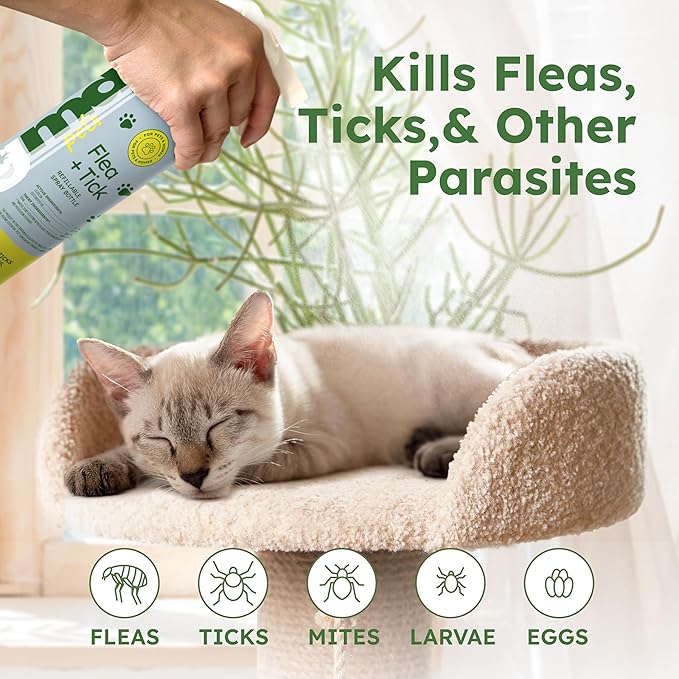 BugMD Flea and Tick Concentrate (3.7 oz)- Essential Oil-Powered Formula, Controls Fleas, Ticks, Mites in Dogs, Cats, and Other Furred Animals, Spray on Pet Beds, Kennels